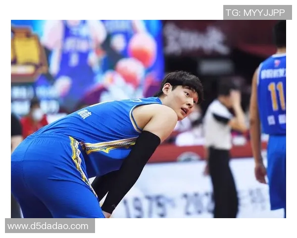 王哲林在CBA赛场的崛起与挑战：从新星到领袖的成长之路