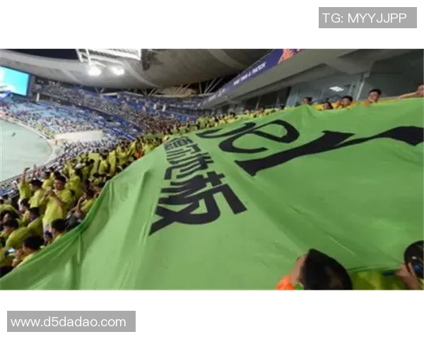 国际米兰与里昂比赛门票信息及购票指南详解