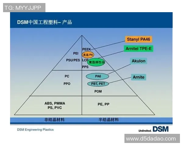 荷兰公司与德国公司在创新与市场竞争中的优势与挑战分析